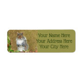 Cute Squirrel Etiket (Voorkant)