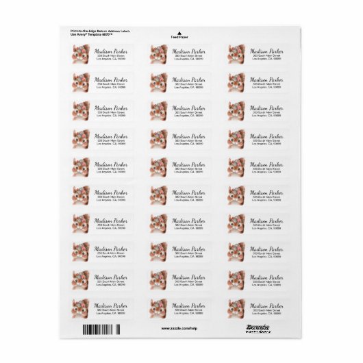 Cute Squirrel Etiket (Full Sheet)