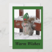 Cute Squirrel Flat Holiday Kaart on Green (Voorkant)