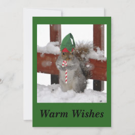 Cute Squirrel Flat Holiday Kaart on Green