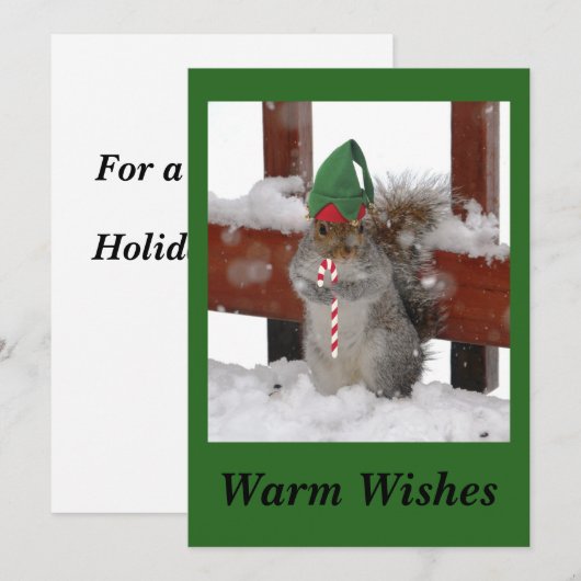 Cute Squirrel Flat Holiday Kaart on Green (Voorkant / Achterkant)