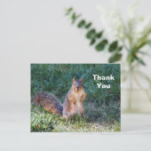 Cute Squirrel Foto Bedankt Briefkaart (Staand voorkant)