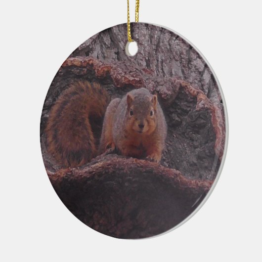 Cute Squirrel Foto gepersonaliseerd Keramisch Ornament (Links)