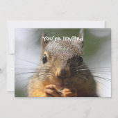 Cute Squirrel glimlachend Macro Foto Kaart (Voorkant)