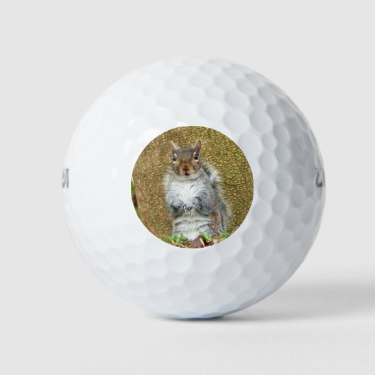 Cute Squirrel Golfballen (Voorkant)