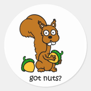 Cute squirrel heeft noten ronde sticker
