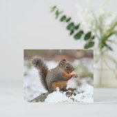 Cute Squirrel in de sneeuwfoto Briefkaart (Staand voorkant)