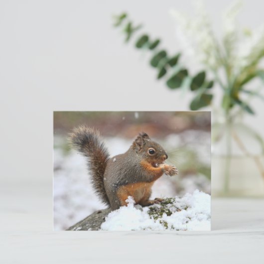 Cute Squirrel in de sneeuwfoto Briefkaart (Staand voorkant)