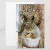Cute Squirrel in een winterlandschap Briefpapier (Voorkant / Achterkant)