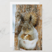 Cute Squirrel in een winterlandschap Briefpapier (Voorkant / Achterkant)