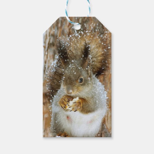 Cute Squirrel in een winterlandschap Cadeaulabel (Voorkant)