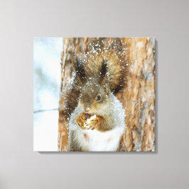 Cute Squirrel in een winterlandschap Canvas Afdruk