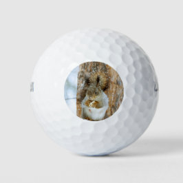 Cute Squirrel in een winterlandschap Golfballen