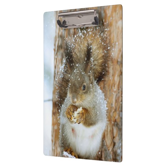 Cute Squirrel in een winterlandschap Klembord (Links)