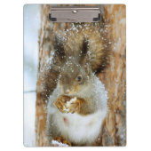 Cute Squirrel in een winterlandschap Klembord (Voorkant)
