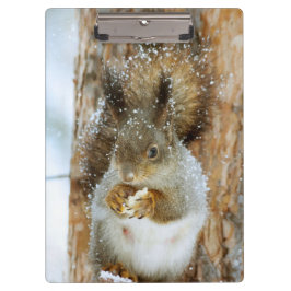 Cute Squirrel in een winterlandschap Klembord