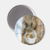 Cute Squirrel in een winterlandschap Magneet (Voorkant / Achterkant)