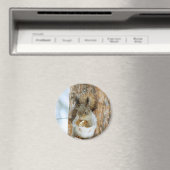 Cute Squirrel in een winterlandschap Magneet (Insitu (Vaatwasser))