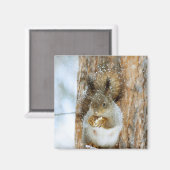 Cute Squirrel in een winterlandschap Magneet (Voorkant / Achterkant)