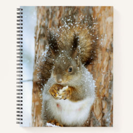 Cute Squirrel in een winterlandschap Notitieboek