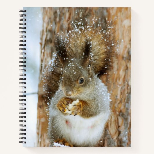 Cute Squirrel in een winterlandschap Notitieboek (Voorkant)