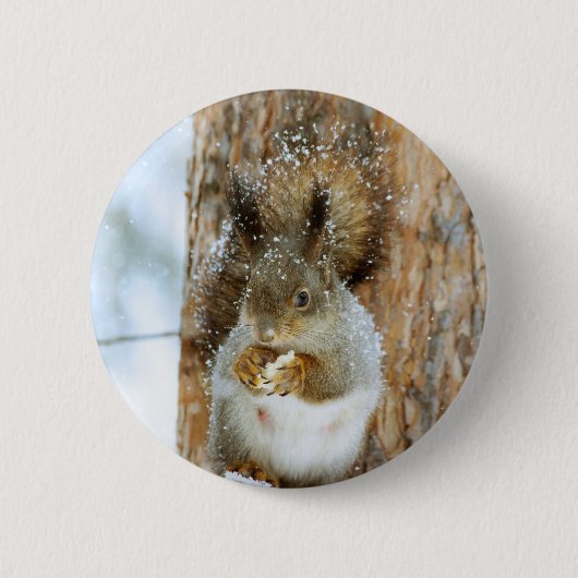 Cute Squirrel in een winterlandschap Ronde Button 5,7 Cm (Voorkant)