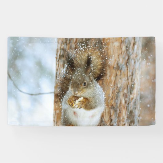 Cute Squirrel in een winterlandschap Spandoek (Horizontaal)
