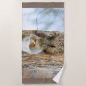 Cute Squirrel in een winterlandschap Strandlaken (Voorkant)