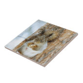 Cute Squirrel in een winterlandschap Tegeltje (Zijkant)