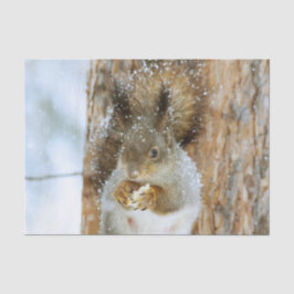 Cute Squirrel in een winterlandschap Tissuepapier