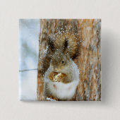 Cute Squirrel in een winterlandschap Vierkante Button 5,1 Cm (Voorkant)