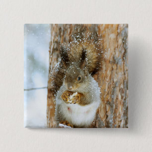Cute Squirrel in een winterlandschap Vierkante Button 5,1 Cm