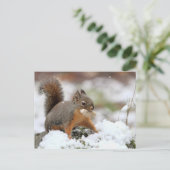 Cute Squirrel in sneeuw met pinda Briefkaart (Staand voorkant)