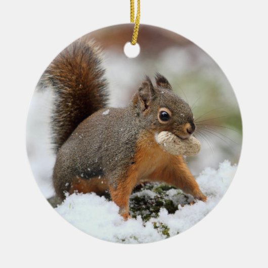 Cute Squirrel in sneeuw met pinda Keramisch Ornament (Voorkant)