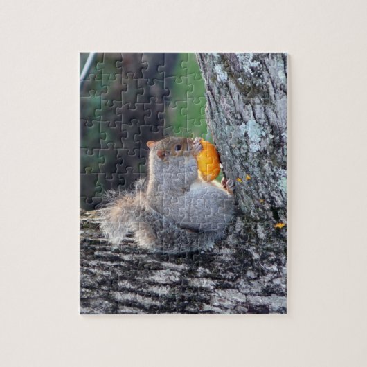 Cute Squirrel in Tree Eating Mini Pumpkin Difficul Legpuzzel (Verticaal)
