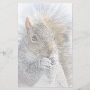 Cute Squirrel in Winter Briefpapier