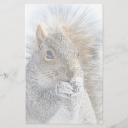 Cute Squirrel in Winter Briefpapier (Voorkant)