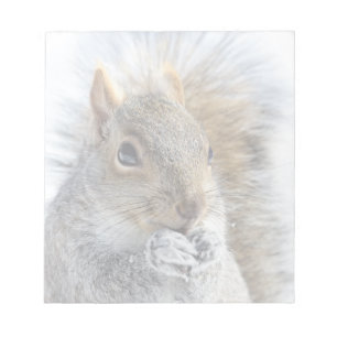 Cute Squirrel in Winter Notitieblok