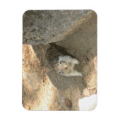 Cute Squirrel in Yosemite, CA Magneet (Verticaal)