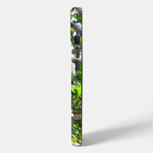 Cute Squirrel - iPhone / iPad case (Achterkant / Links)