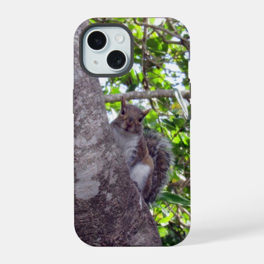Cute Squirrel - iPhone / iPad case iPhone 15 Case (Achterkant)