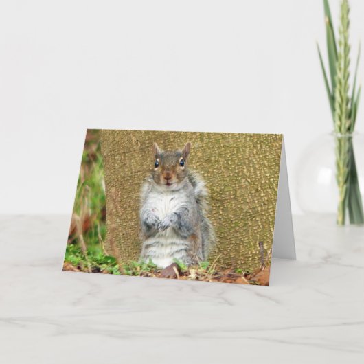 Cute Squirrel Kaart (Voorkant)