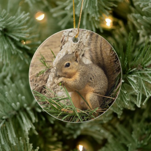 Cute Squirrel kerstboom Ornament (Boom)