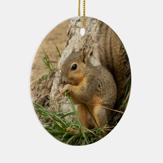 Cute Squirrel kerstboom Ornament (Rechts)