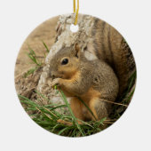Cute Squirrel kerstboom Ornament (Voorkant)