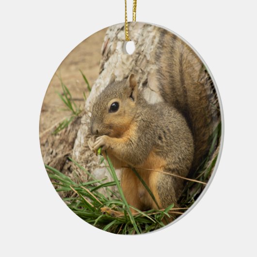 Cute Squirrel kerstboom Ornament (Links)