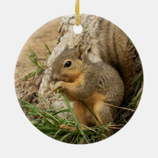 Cute Squirrel kerstboom Ornament (Achterkant)