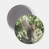 Cute Squirrel Magnet (Voorkant / Achterkant)