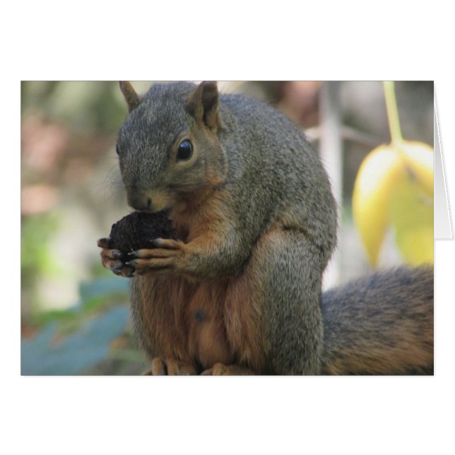 Cute Squirrel met Nut Blank Card (Voorkant Horizontaal)
