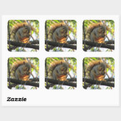 Cute Squirrel met Nut in Sticker (Vel)
